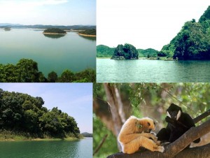 cf29d4726a6d1df0vuon-quoc-gia-ben-en-thanh-hoa (1)